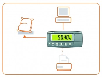 Hanging Scale – Rinstrum