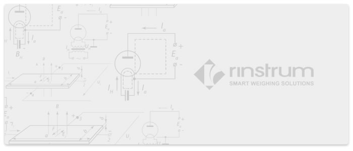 Hanging Scale – Rinstrum